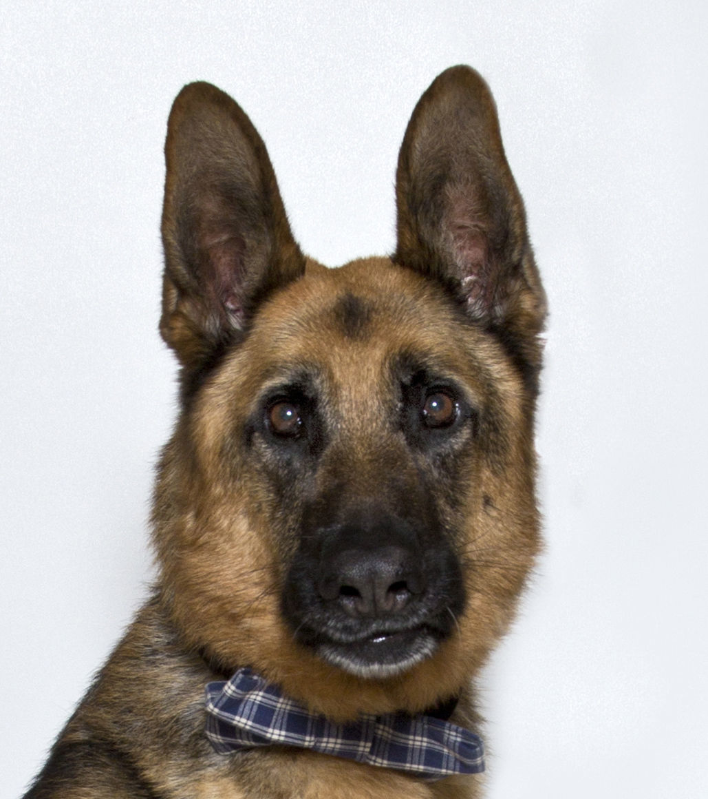 Roscoe